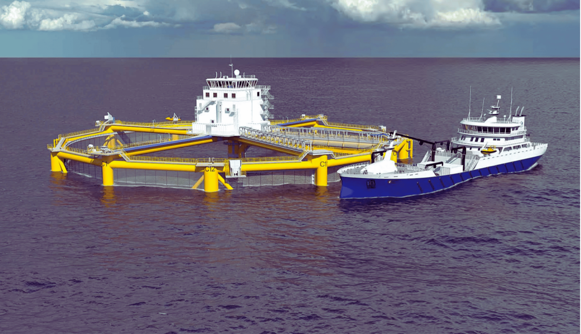 Offshore salmon farm